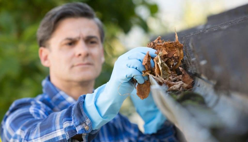 Gutter cleaning